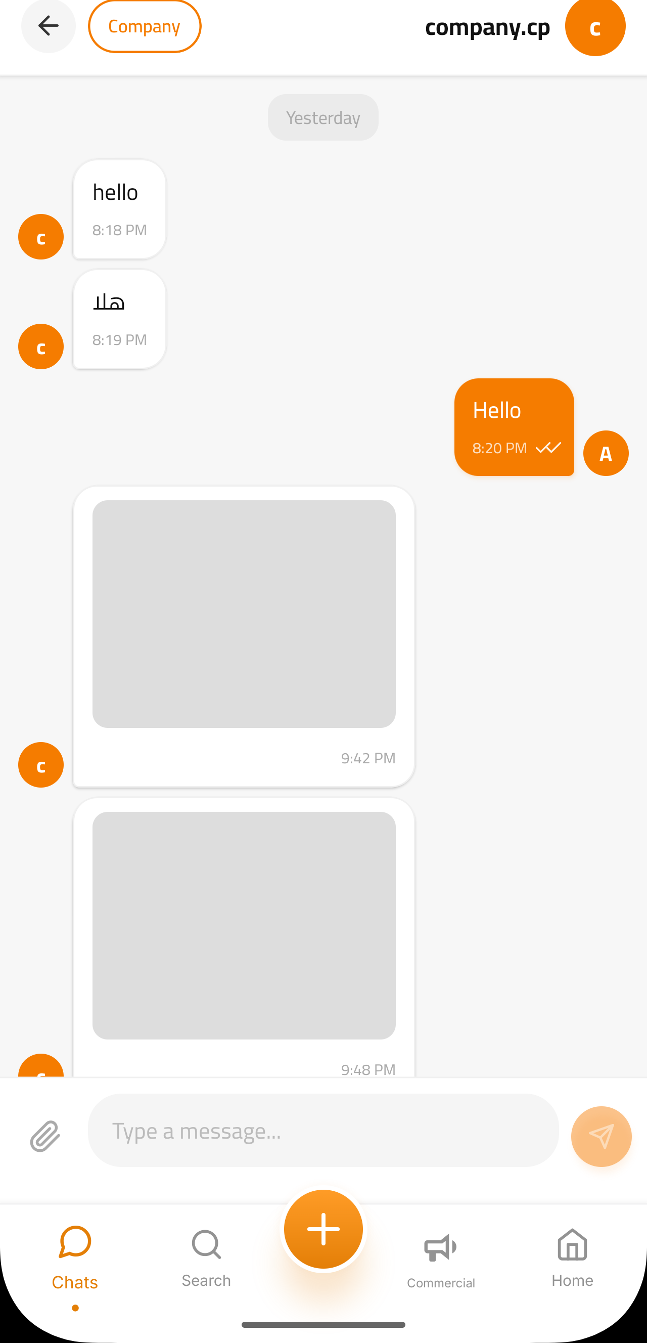 Step 3 Chat Screen Mockup